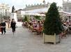  déjeuner sur la place Stanislas